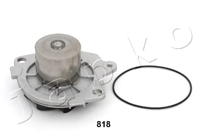35818 Japko