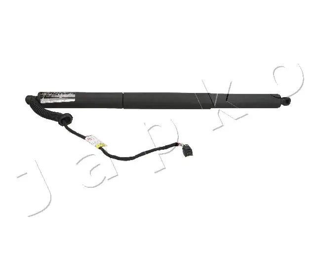 ZJ0901 Japko