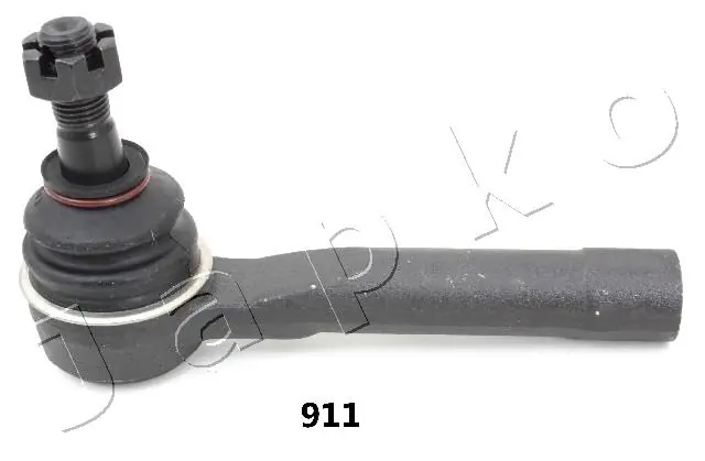 111911 Japko