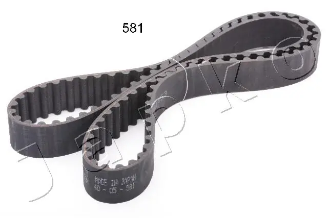 40581 Japko