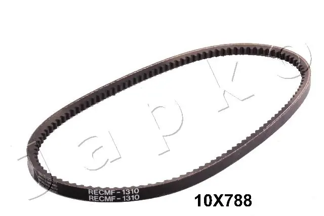 10X788 Japko