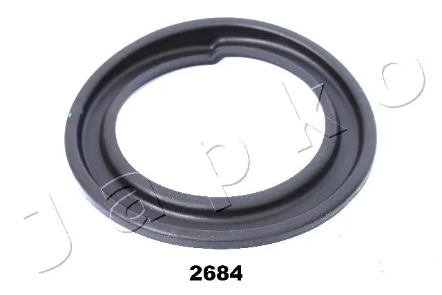 GOJ2684 Japko