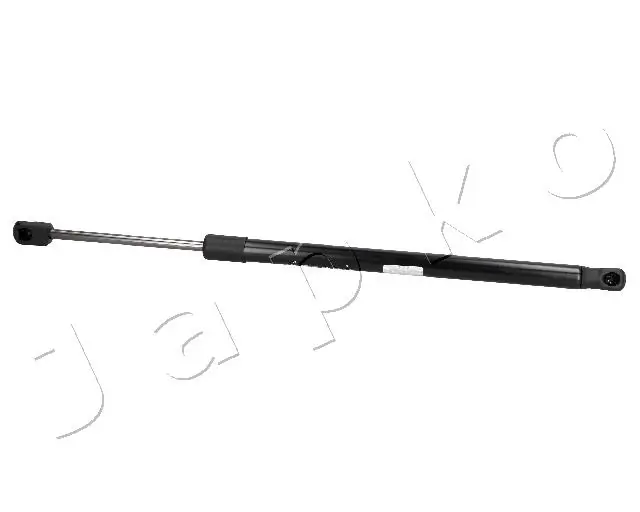 ZSJ03013 Japko