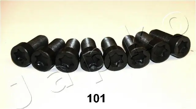 54101 Japko