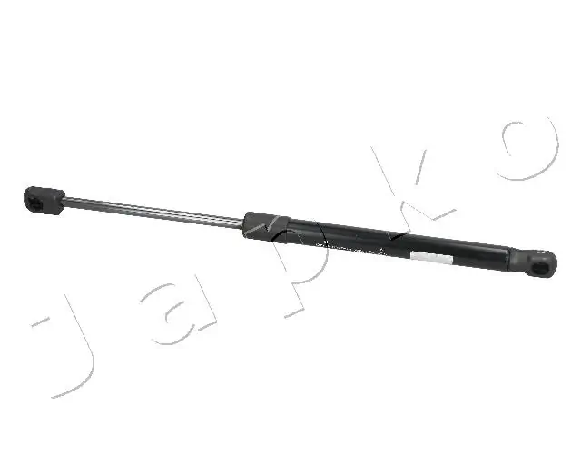 ZSJ09040 Japko