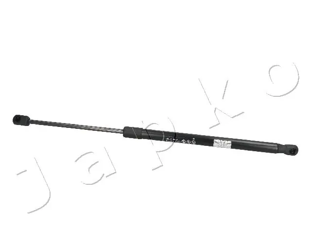 ZSJ09078 Japko