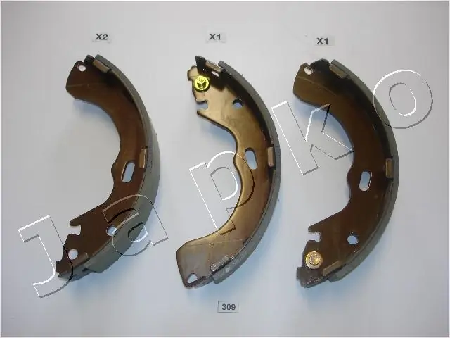 55309 Japko