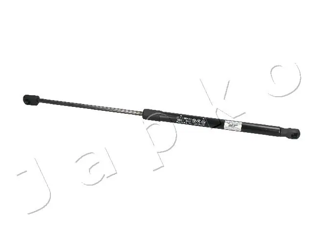 ZSJ09029 Japko