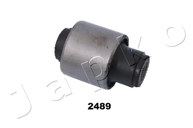 GOJ2489 Japko