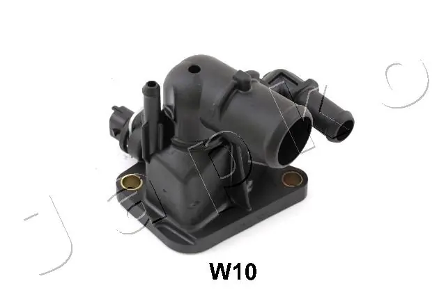 38W10 Japko