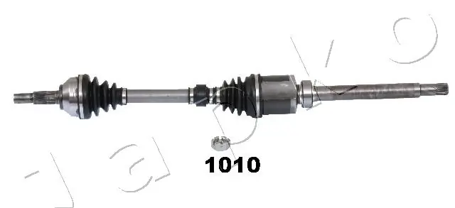621010 Japko