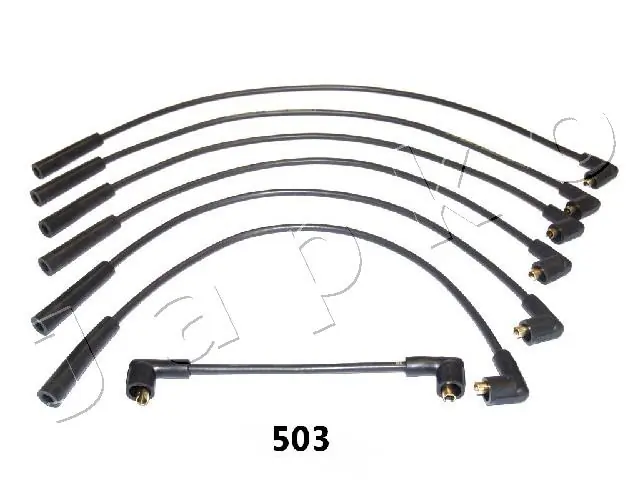 132503 Japko
