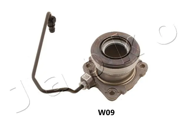 90W09 Japko