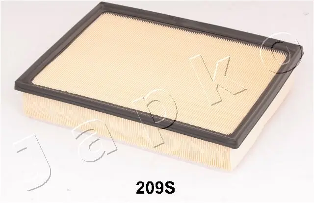 20209 Japko