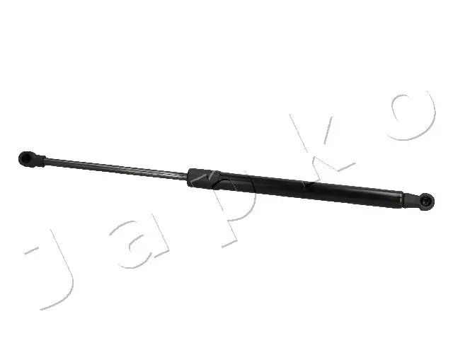 ZSJ20024 Japko