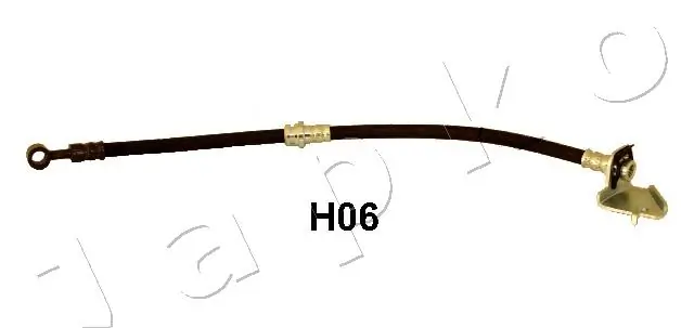 69H06 Japko