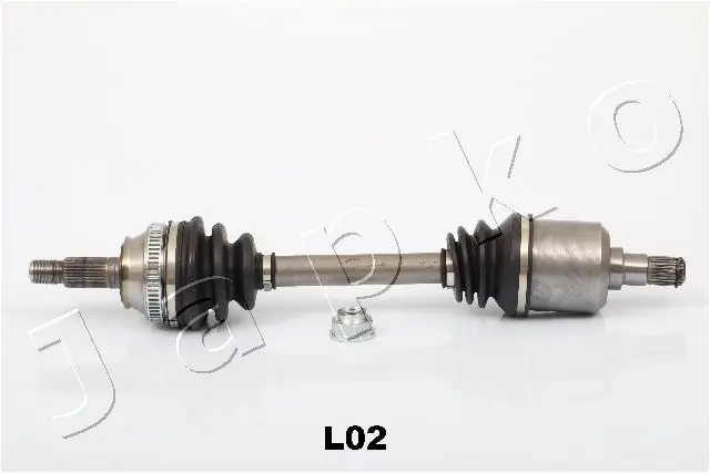62L02 Japko