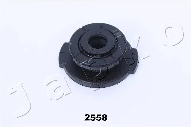GOJ2558 Japko