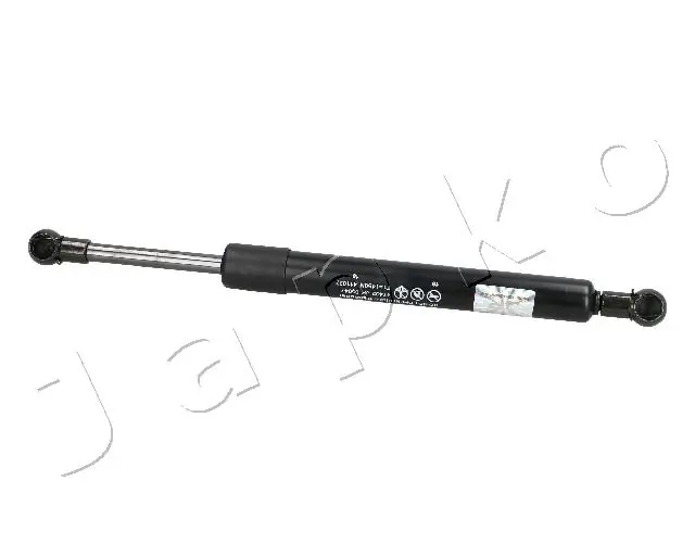 ZSJ05047 Japko
