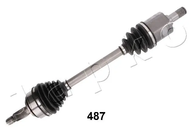 62487 Japko