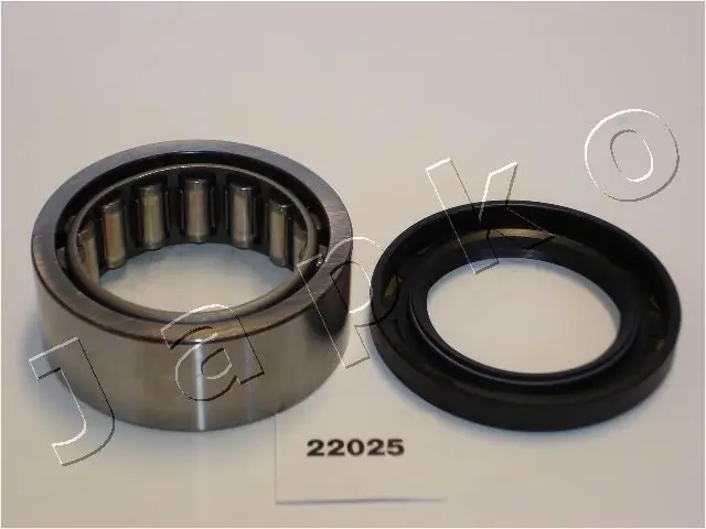 422025 Japko