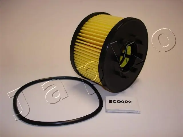 1ECO022 Japko