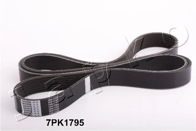 7PK1795 Japko