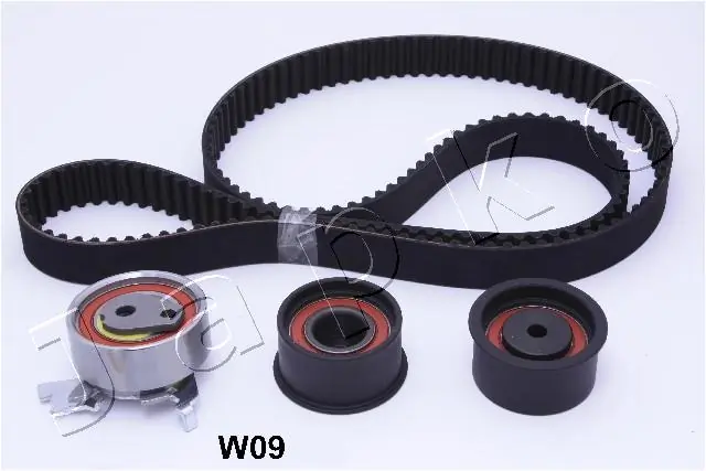 KJTW09 Japko