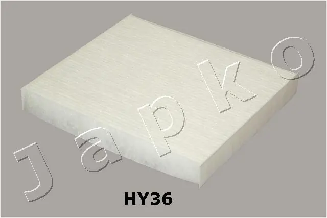 21HY36 Japko