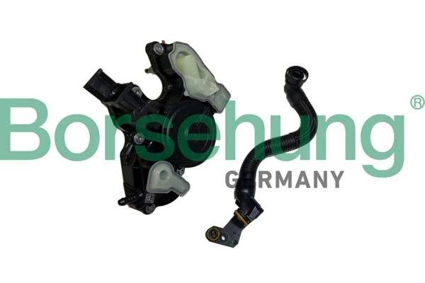 B11921 Borsehung