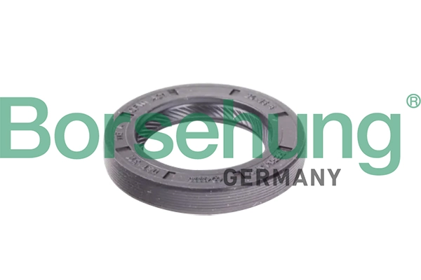 B12191 Borsehung