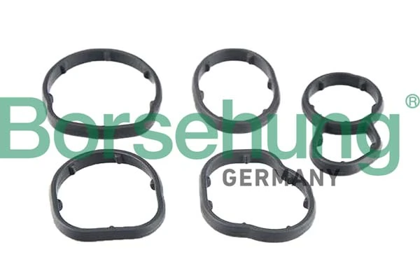 B12531 Borsehung