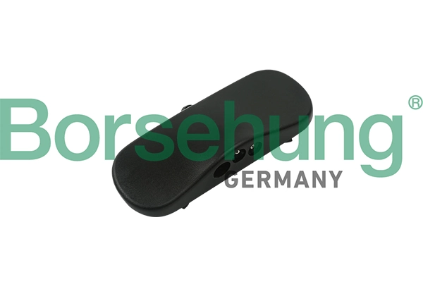 B18495 Borsehung