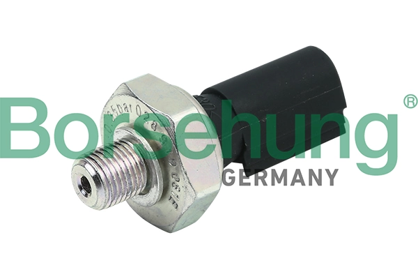 B13139 Borsehung