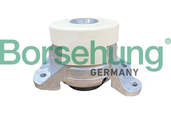 B12655 Borsehung