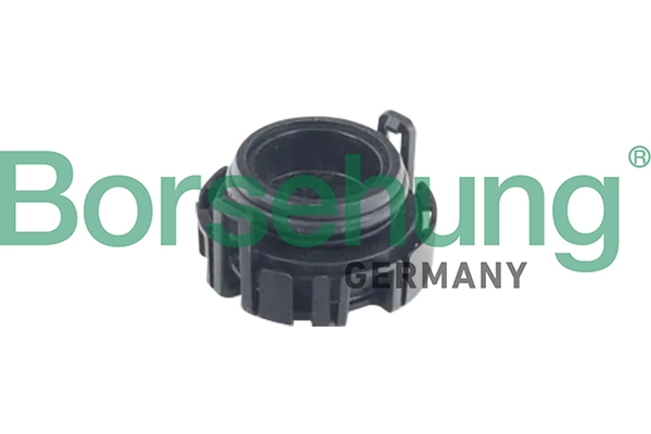 B12240 Borsehung