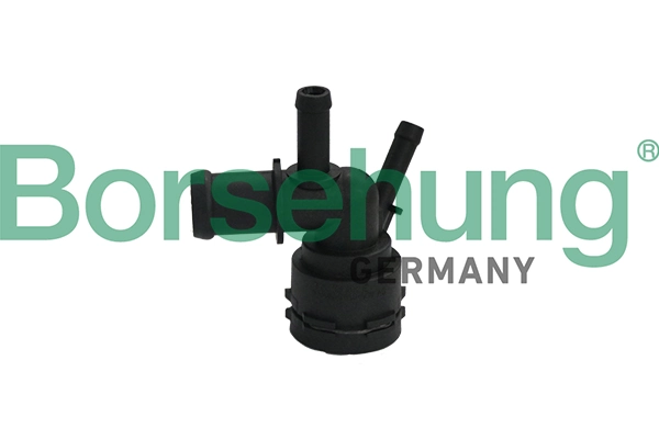 B19181 Borsehung