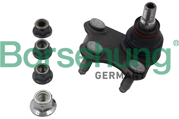 B18695 Borsehung