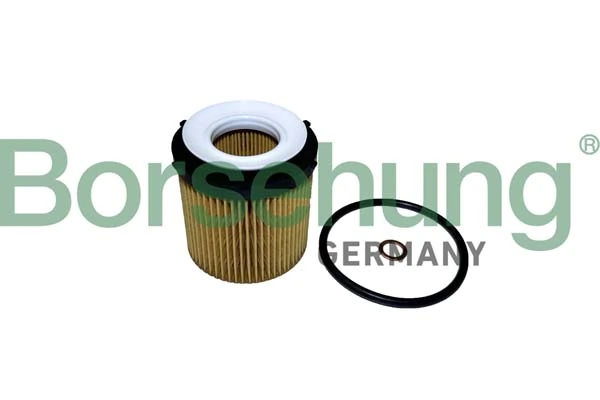 B10441 Borsehung