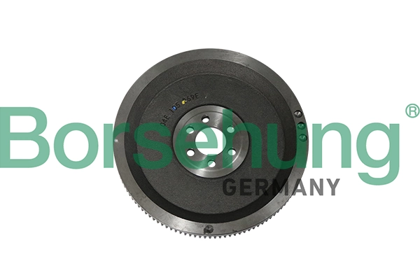 B19306 Borsehung