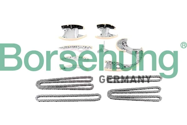 B12735 Borsehung