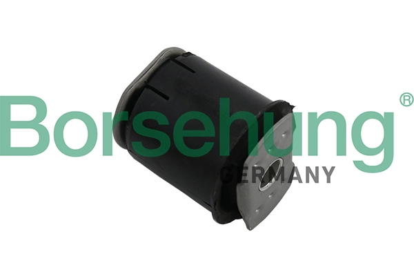 B19161 Borsehung