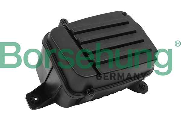 B12829 Borsehung