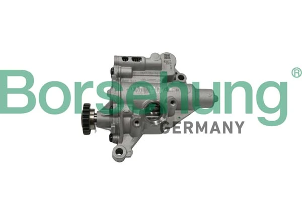 B18758 Borsehung