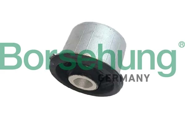 B10035 Borsehung