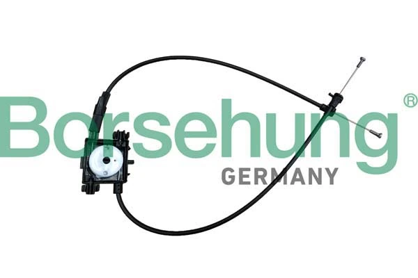 B10779 Borsehung