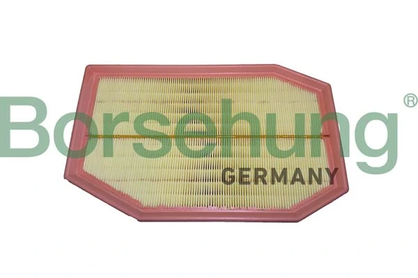B12437 Borsehung