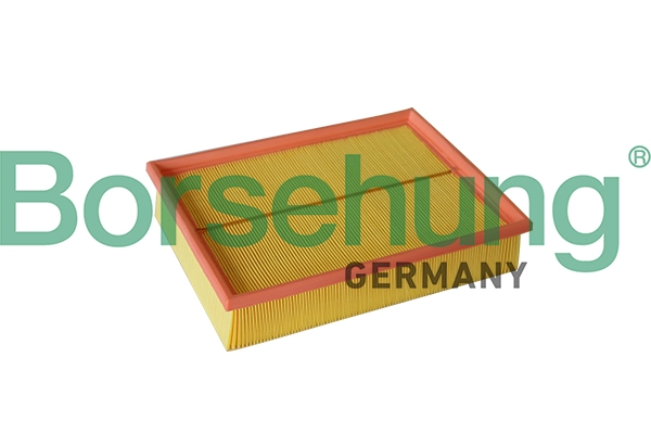 B12213 Borsehung