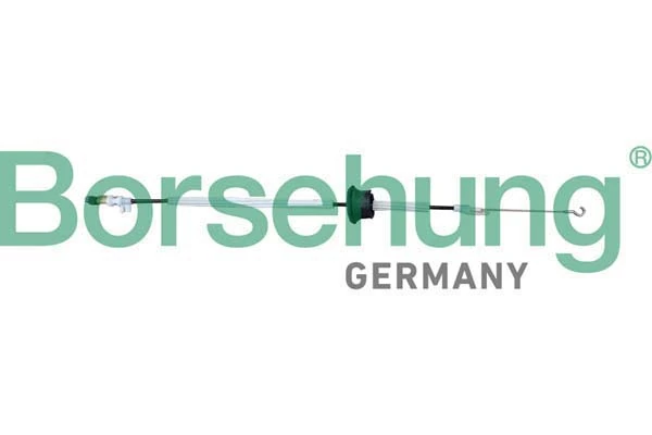 B10788 Borsehung