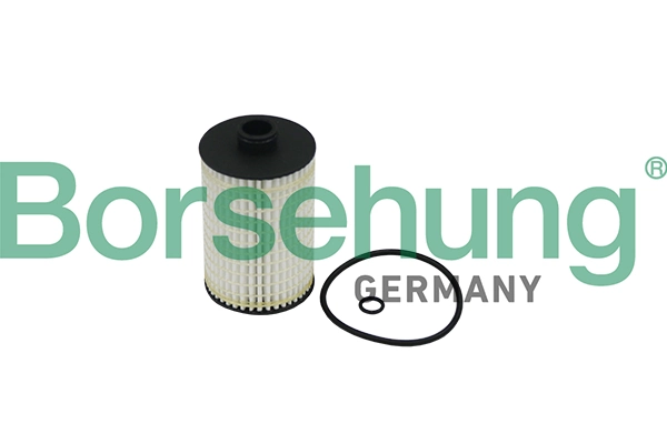 B10519 Borsehung